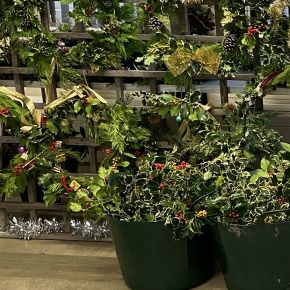 Image for Christmas Wreath Making