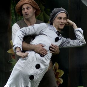 Image for A Midsummer Night's Dream